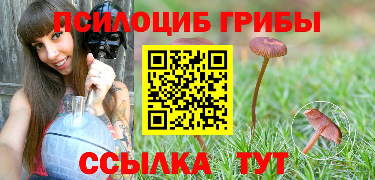 Псилоцибиновые грибы мухоморы Кандалакша